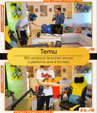 Temu campaign